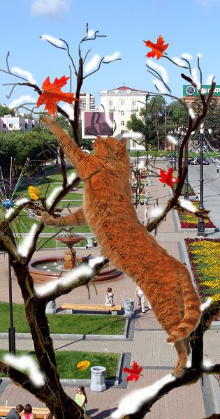 ���������� ������